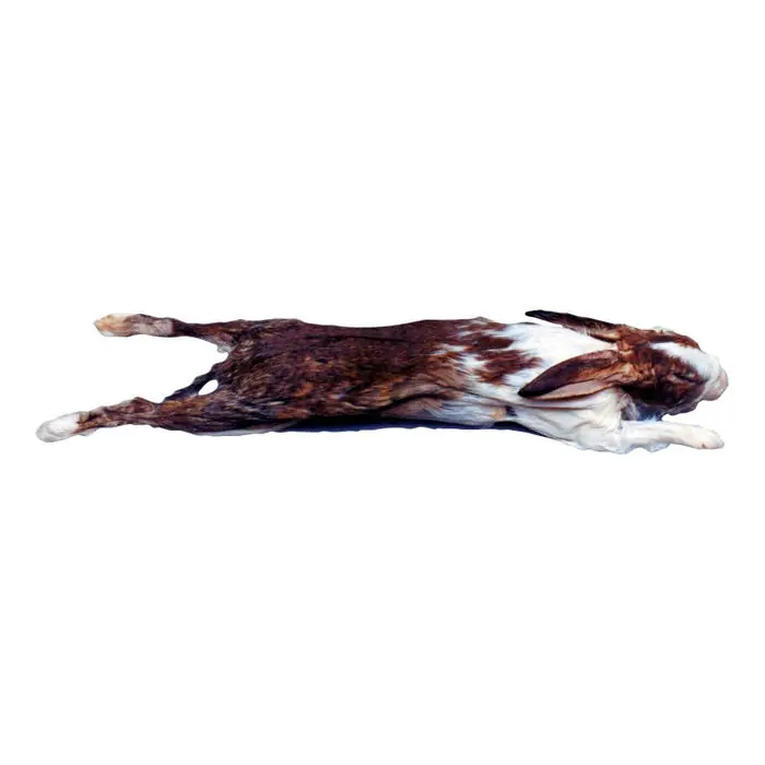 Must Have Frey Scientific Choice Preserved Rabbit, 14 to 19 Inches, Vacuum Sealed Pack of 10